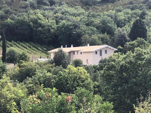 B&B Il Vecchio Molino Quercianella Eksteriør bilde