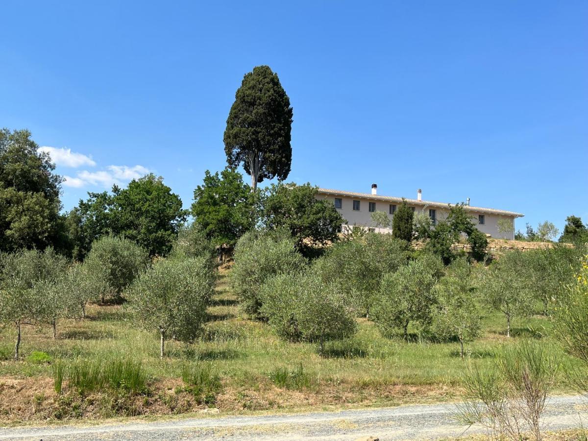 B&B Il Vecchio Molino Quercianella Eksteriør bilde